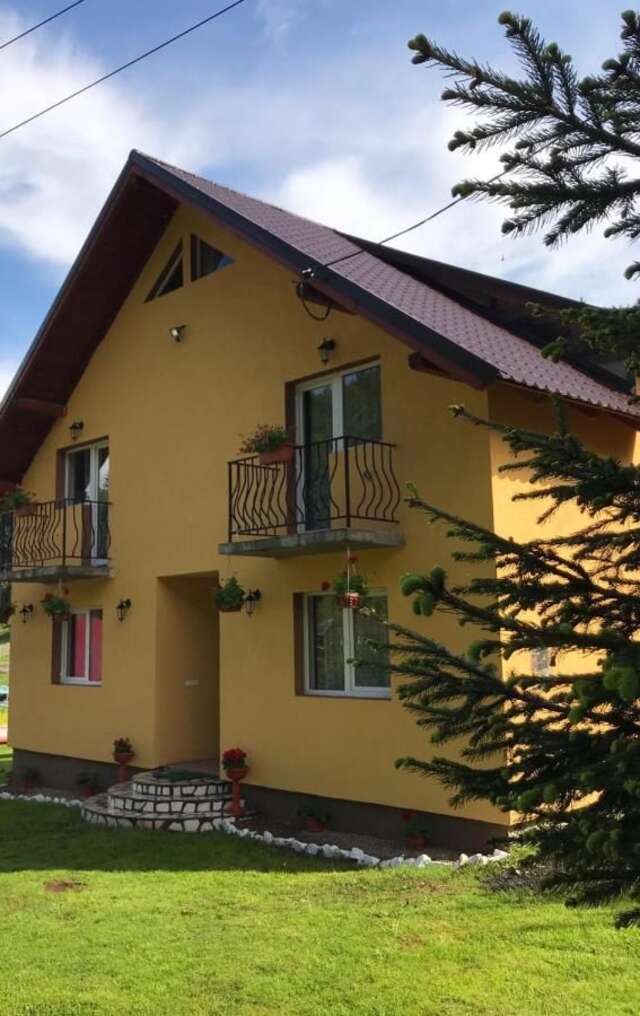 Гостевой дом Casa Natalia Raisa Arieșeni Арьешени-31